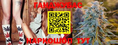 метадон Новодвинск