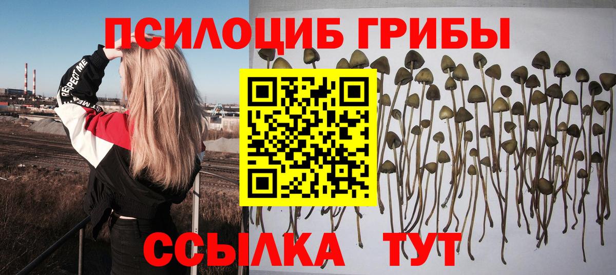 Псилоцибиновые грибы GOLDEN TEACHER  Вход с VPN  Трёхгорный 